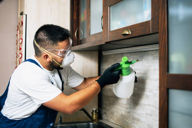 Best Pest Prevention Services  in Chamblee, GA
