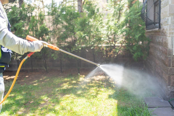 Best Flea Control Services  in Chamblee, GA