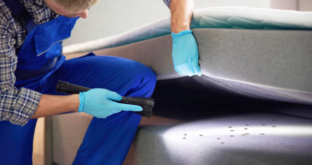 Best Residential Pest Control  in Chamblee, GA