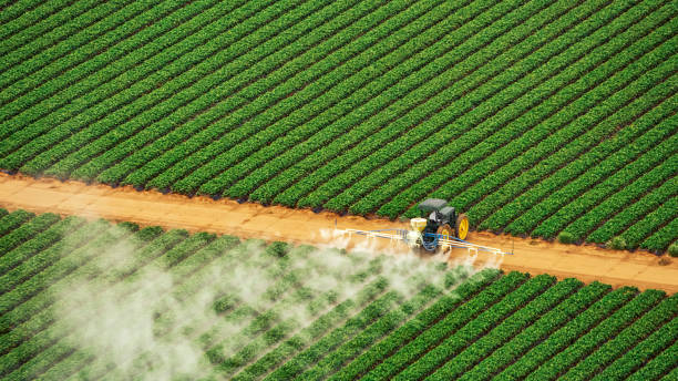 Best Pest Removal Services  in Chamblee, GA