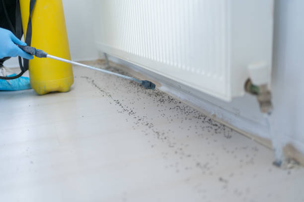 Best Commercial Pest Control Services  in Chamblee, GA