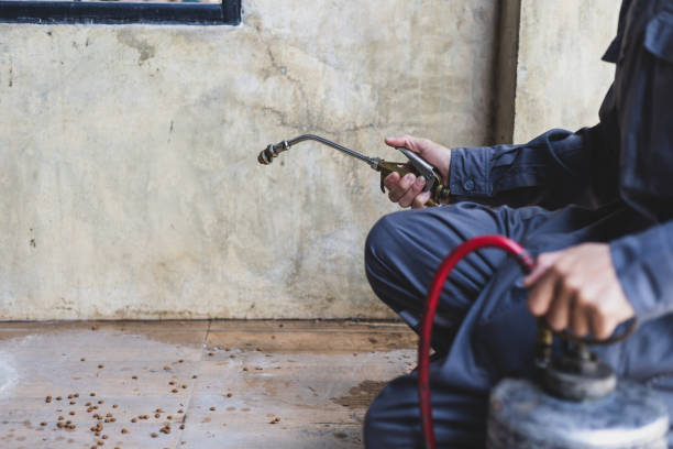 Best Ant Control Services  in Chamblee, GA